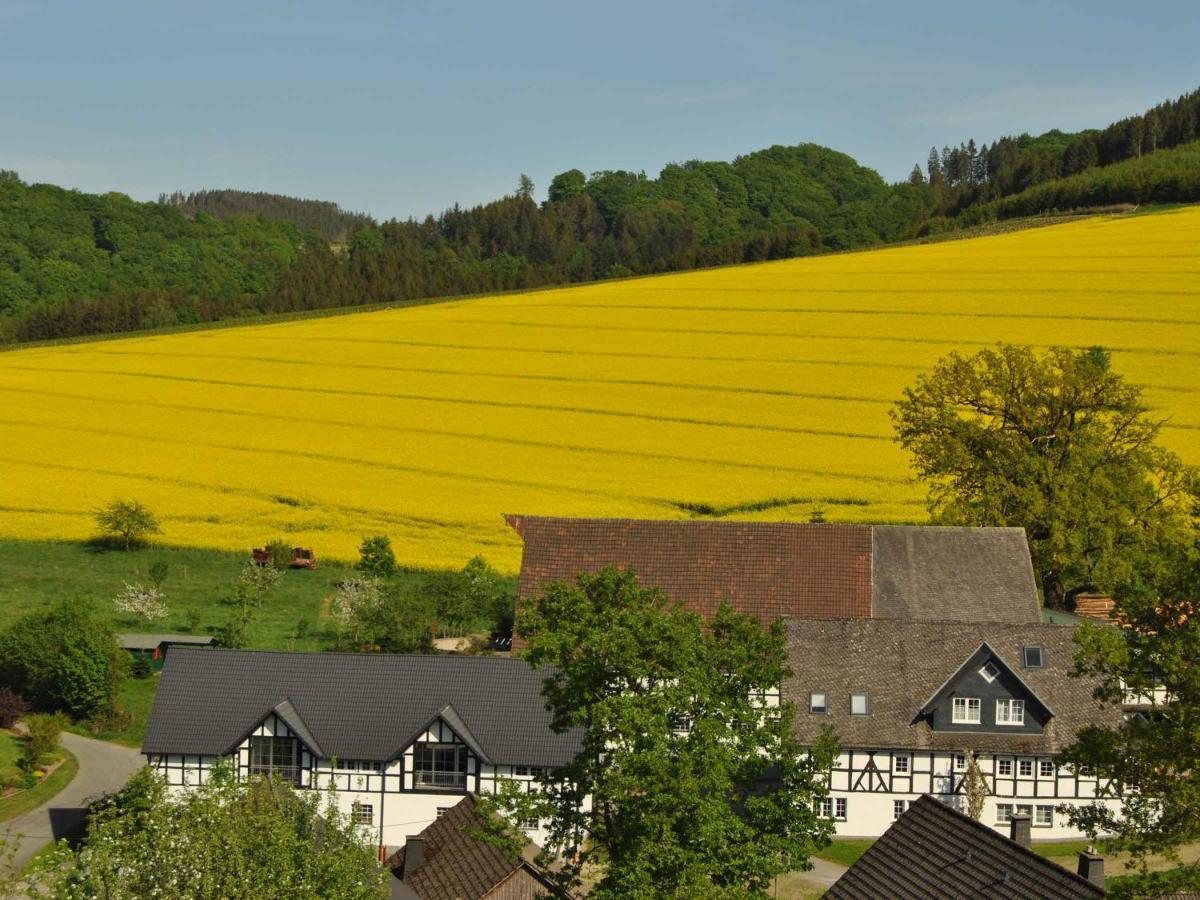 Ferienwohnungen Uebern Hof Schmallenberg Extérieur photo