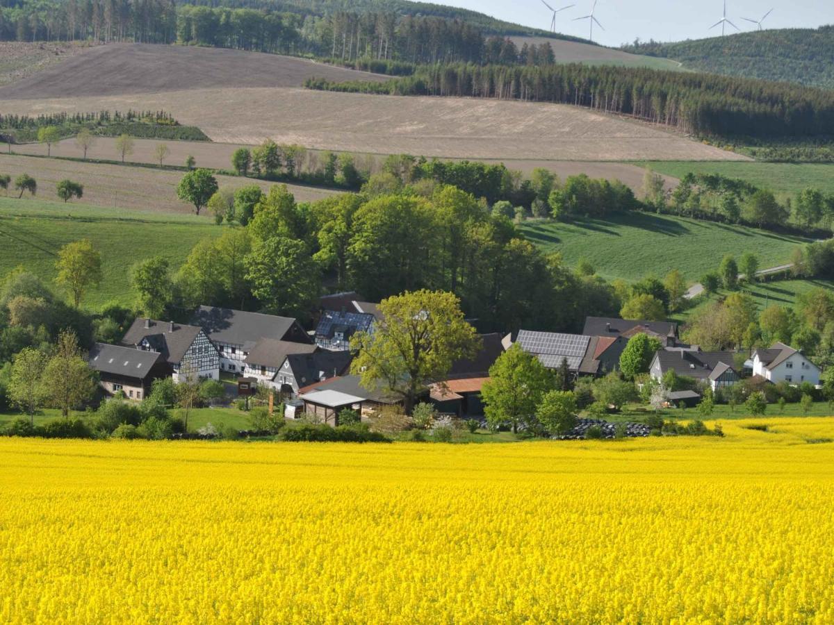 Ferienwohnungen Uebern Hof Schmallenberg Extérieur photo